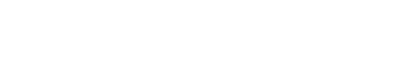 Springer Professional